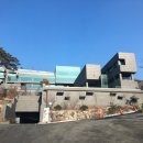 포레스트리솜 이미지