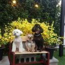 멍스토리 이미지