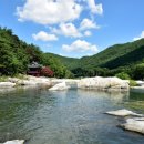 농월정주차장 이미지