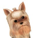 사랑종합동물병원 이미지