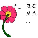 전치과의원