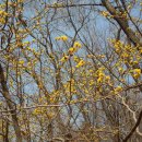 세곡-106 이미지