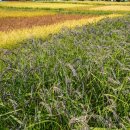 들녘농장 이미지