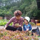 소영농장 이미지