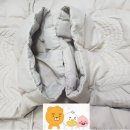 삼호세탁 이미지