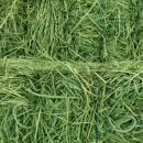 (주)빙키 이미지