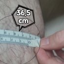 리커버리 이미지