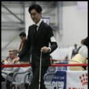 퍼피라운지 이미지