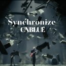 CNBLUE - Synchronize【Official Music Video】 이미지