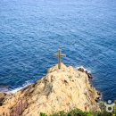 신양항 광장 이미지