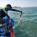 뒷동산낙지 이미지