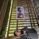 나룻배마을 | 상하이 투어 마이리얼트립 < 복원고진 수향마을 야간 나룻배투어 > 후기