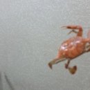 사랑해포차 - 음성군 시장로117번길 6-5 | 사랑해포차