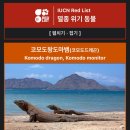 코모도 | 코모도 투어 후기 :: 하루 만에 다녀온 코모도투어(발리 당일 복귀)