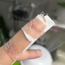 불당호수약국 | [6월일상] 별거없는 오뉴월 : 나의 여름 한 철