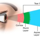 성인약국 이미지