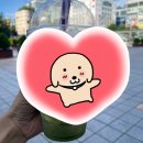 463 | 야탑역 더벤티 이천쌀말차쉐이키 후기_ 463