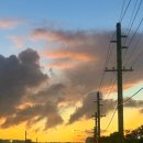 (주)아름푸드 | 차모르야시장주차 꿀팁 어디에서도 못보는 전통 괌기념품과 괌야시장음식 찾는다면 차모르야시장은 필수!