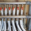 사파동250 이미지