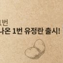 새싹녹즙