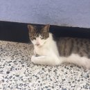 제천시 문화회관 이미지