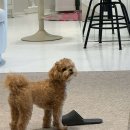 버스정류장(첨단사거리) 이미지