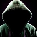 정지로2 이미지