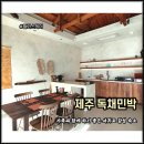 월가스테이 | 서귀포 감성 숙소 제주 독채 민박 제주도 월가스테이 후기