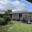 옹포소녀 이미지