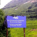 고비농장 이미지