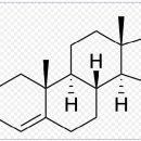 남성호르몬( testosterone) 이미지