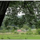 신읍리율대 이미지