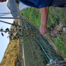 시월에농장 이미지