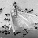 동우여자고등학교 이미지