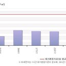 대기오염 사례연구 (개별보고서) 이미지