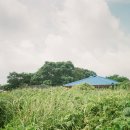 무릉2리(인향동) 이미지