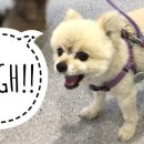 늘봄동물병원 이미지