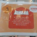 고양이 마을 | 잠실 고양이카페 길고양이마을 후기 , 쉽게 결정하지 않기로 했다