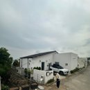 올리비아스테이 이미지