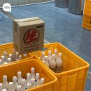 흥진합동두부공장 | 양조장에서 당일 생산 생막걸리 사 왔어요, 수지신갈합동양조장