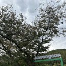 (청송) 국내 온천여행, 솔샘온천 / 청송소노벨 숙박후기