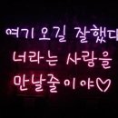 조대표TV