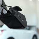 경보 골드 이미지