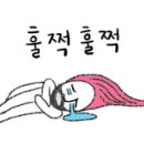 (주)신세계관광 이미지