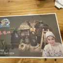 홍.낙.제 이미지