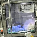 환해지개 이미지