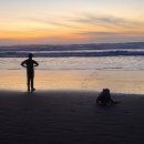 초원의 빛 | [응답하라 2002]【외전】백문백답 2