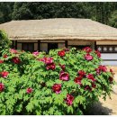 영랑생가 이미지