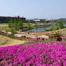 세천늪근린공원 이미지