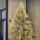 진주서부농업협동조합 | 천황식당 ｜진주식당 맛집 내돈대산 후기